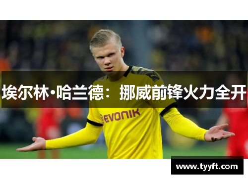 埃尔林·哈兰德：挪威前锋火力全开