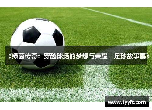 《绿茵传奇：穿越球场的梦想与荣耀，足球故事集》