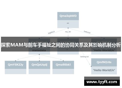 探索MAM与前车手福祉之间的协同关系及其影响机制分析